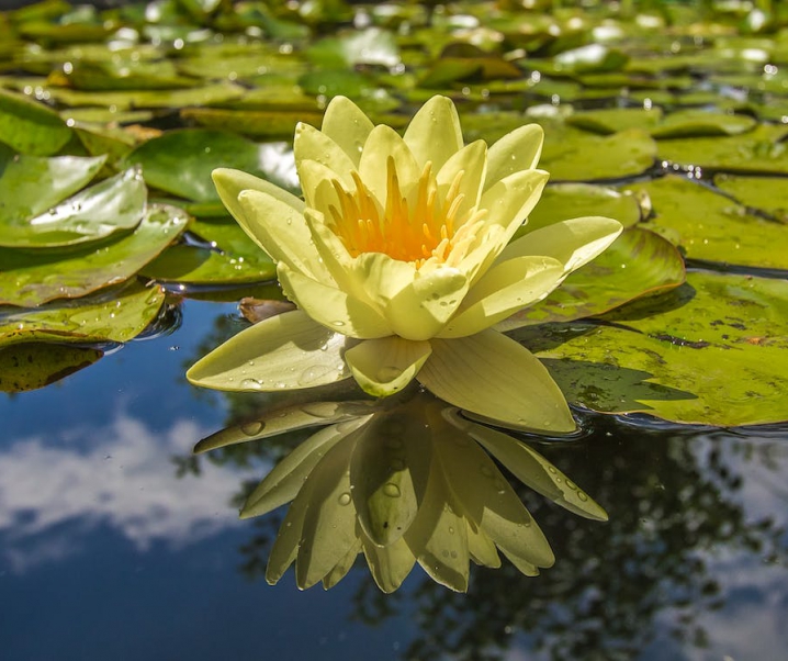 Zo zorg je ervoor dat het onderhouden van de tuin een leuke klus wordt!