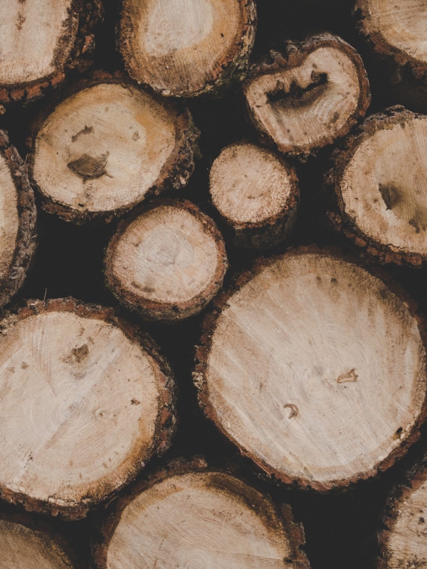 Openhaardhout kopen: Tips voor het vinden van de beste brandhout leverancier