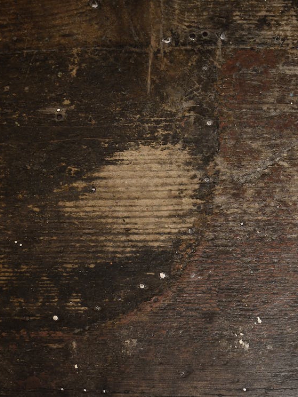 Wat moet je doen bij houtrot?