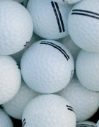 Medische dierenspecialisten: een mooie roeping